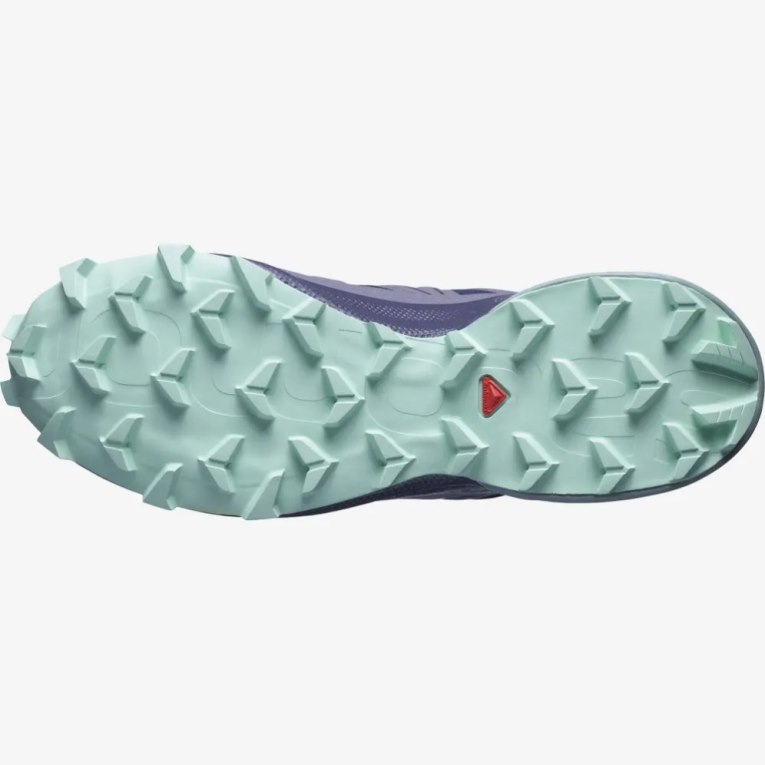 Tenis Para Trail Running Salomon Speedcross 5 Mujer Azul Marino Morados | MX QVDN153